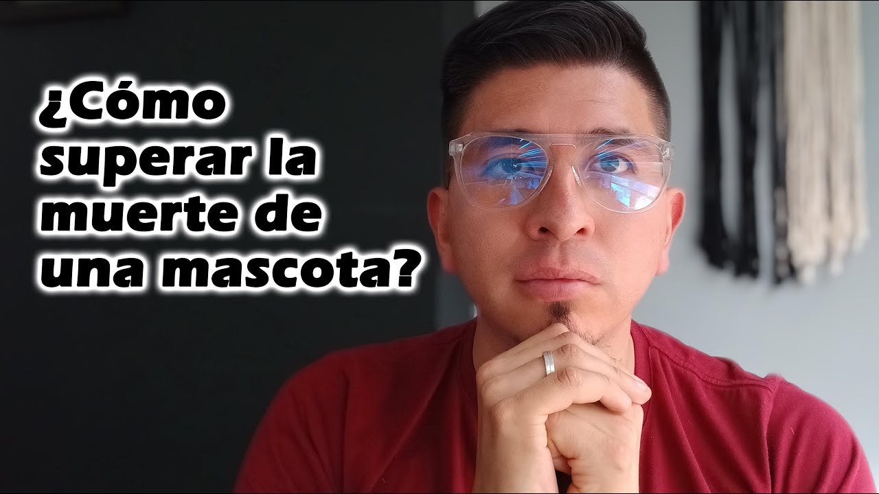 ¿Cómo superar la muerte de una mascota? 🐶🐱🙏 - YouTube