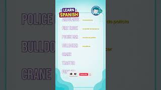 7 Spanish words every Begineer should know
