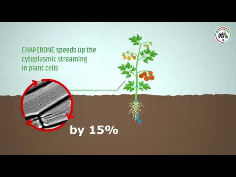 IIL ke Tractor Brand ka Chaperone Kare Fasal ki POWER ON - video from Insecticides