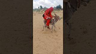 Girl Riding A Donkey