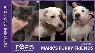10/2/2025 | Archi, Puppy Yoga and Bronson | Mark's Furry Friends Extra