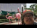 Las Vegas July 15 18 2025 Las Vegas July 15 18 2025