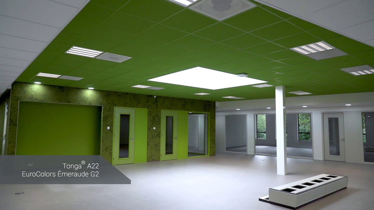 Eurocoustic rust de plafonds uit van het Terra College in Nederland!