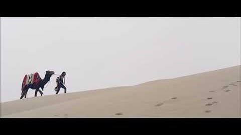 Macklemore & Ryan Lewis - Can