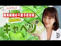 【キャベツ】梅雨時期の体調不良は胃腸機能向上が重要！胃に優しいNO１スーパーフードの「５つの効能」