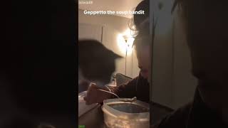 Funny Cats 2025 Kitten Meowing Crying 4551