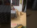 #243cateatingtime#catshorts #catvideo #positivitychannel #trending
