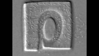 Famous Blowing Up the Bacterial House Profile