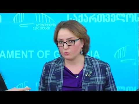 თინათინ ხიდაშელის ბრიფინგი