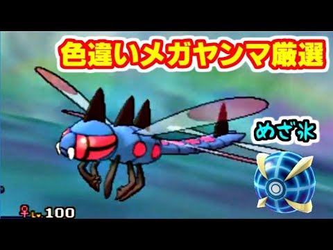 ポケモンusum 色違いメガヤンマの厳選 Youtube