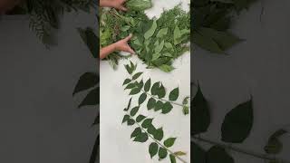 When Nature Becomes Design!