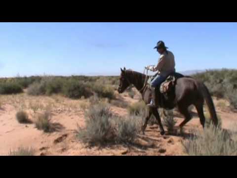 Buddy Rour Buddy Sour Horse.wmv - YouTube