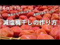 【高血圧予防】減塩梅干しの作り方『食塩８％で作ります』
