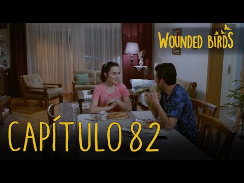 Wounded Birds (Yaralı Kuşlar) | Capítulo 82 en Español