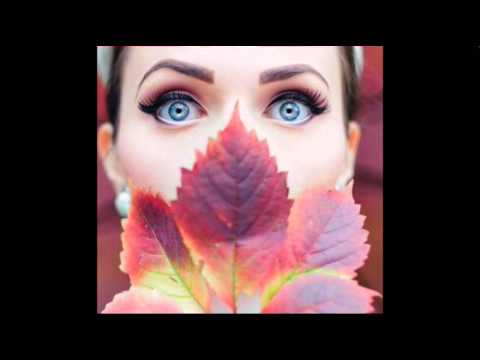 كليب فريق اكس تيم مهرجان صحاب مصالح الجزء الثاني