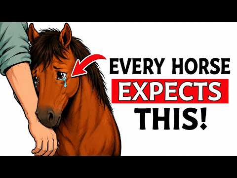6 Unspoken Rules Your Horse Expects You to Follow