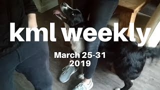 kml weekly meme compilation - #142