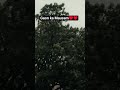 #rain #music #song #automobile