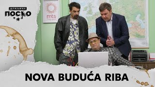 Državni Posao Hq - Ep.2236 Nova Buduća Riba 15.10.2024.