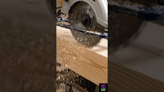 Circular Saw Wood Slice #circularsaw #woodcutting #asmr #satisfying #toolsoftiktok