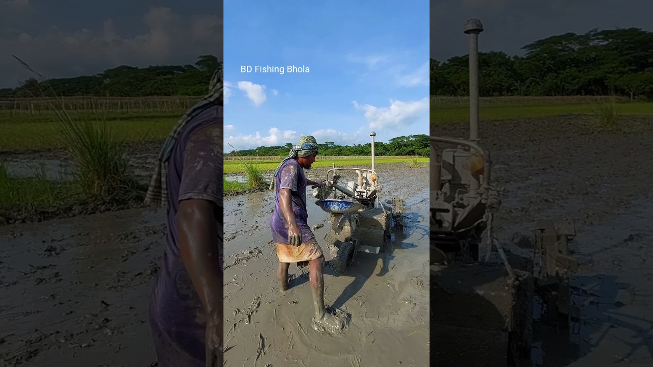 Amazing Village Field Fish Catching in Hand 