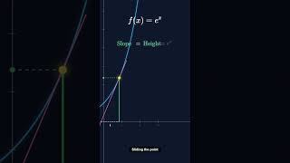 Exponential derivative visual #maths #stemeducation #science