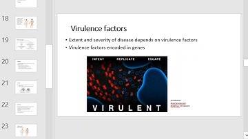 NU Bio 203 Ch 15 OpenSTAX