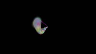 enchanted magical wand fairy pixie dust animation animated magic with music by Pete Smith