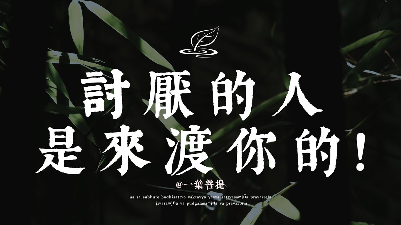 當你不再對抗，關係就開始轉化🍃 一葉菩提 