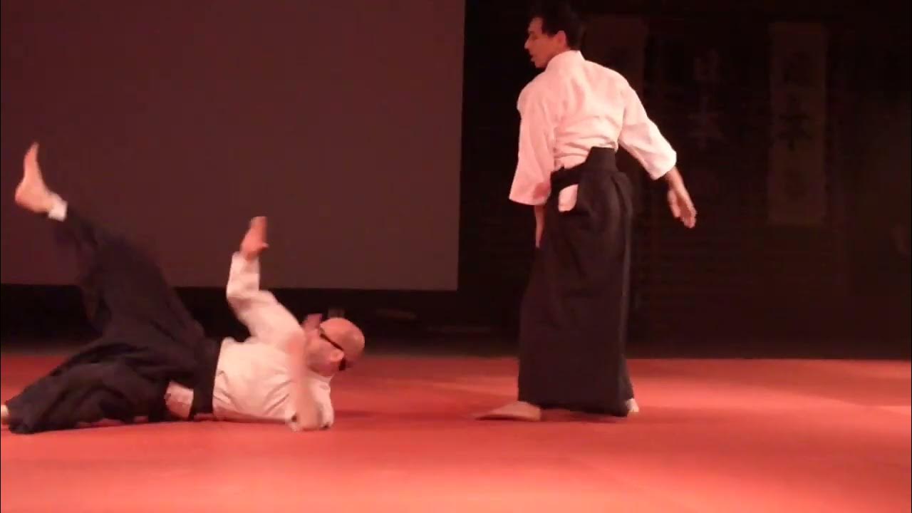 Aikido demo Toyoda and uke Edwin in 2013 YouTube