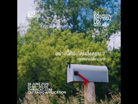 อย่างนี้ต้องโดนสั่งสอน ? #จดหมายเด็กแมว