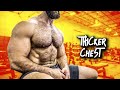 CHEST WORKOUT (The Secret To THICK PECS!!)