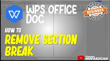WPS Office Doc How To Remove Section Break