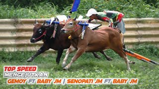 Latihan perdana Sapi Baru JET MATIC di lapangan Priok Ketapang