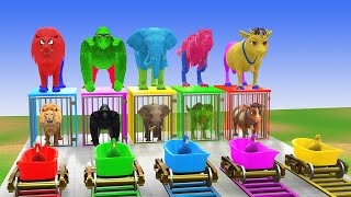 Download Lagu Long Slide Game with Cow Elephant Gorilla Hippopotamus Tiger 3d Animal Game Funny 3d Animals MP3