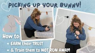 How I Trained My Bunny To Be Calm When Picked Up Building Trust With Your Bunny First