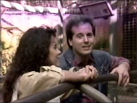 Inside Desi Arnaz Jr Archive - ocnyga7