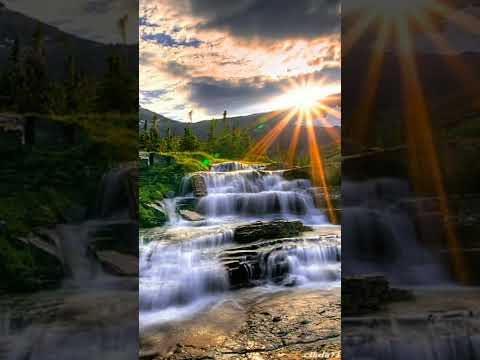 Alpha Blondy God Is One 