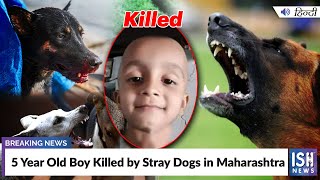 5 Year Old Boy Killed by Stray Dogs in Maharashtra | ISH News