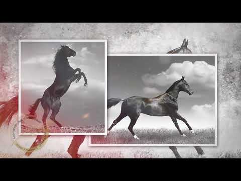 ბედაური