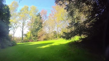 Garden Flight - Diatone Taycan - Insta360 Go 2