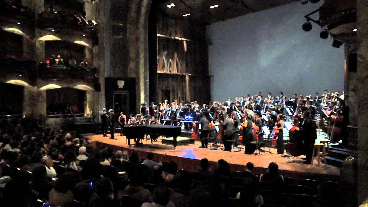 Concierto homenaje a Michael Nyman inaugura el Segundo Festival Luces de Invierno artery supply of stomach