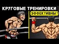 Стоит ли делать круговые тренировки? Плюсы и Минусы @Александр Кузнецов