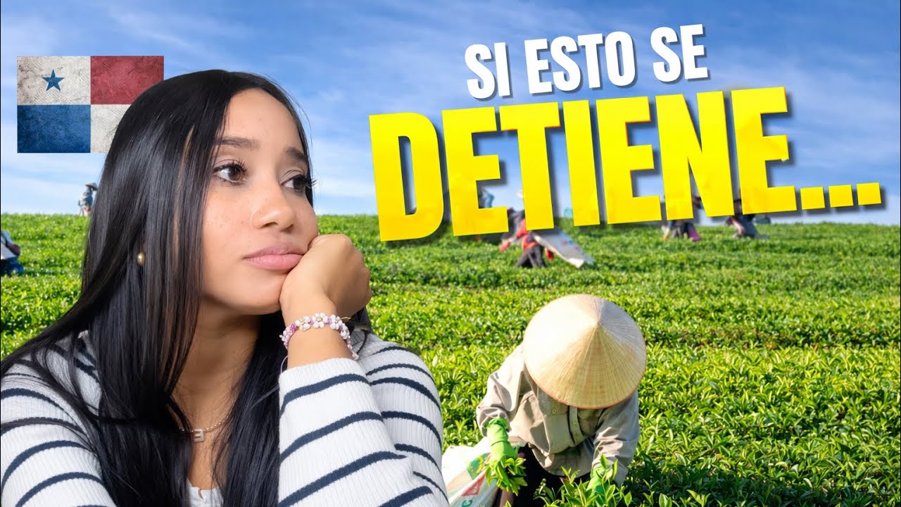 Panamá depende de este lugar 🇵🇦 | Cerro Punta, corazón agrícola del país