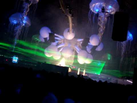 Sensation White Chile 2010 by Anthony Pereira