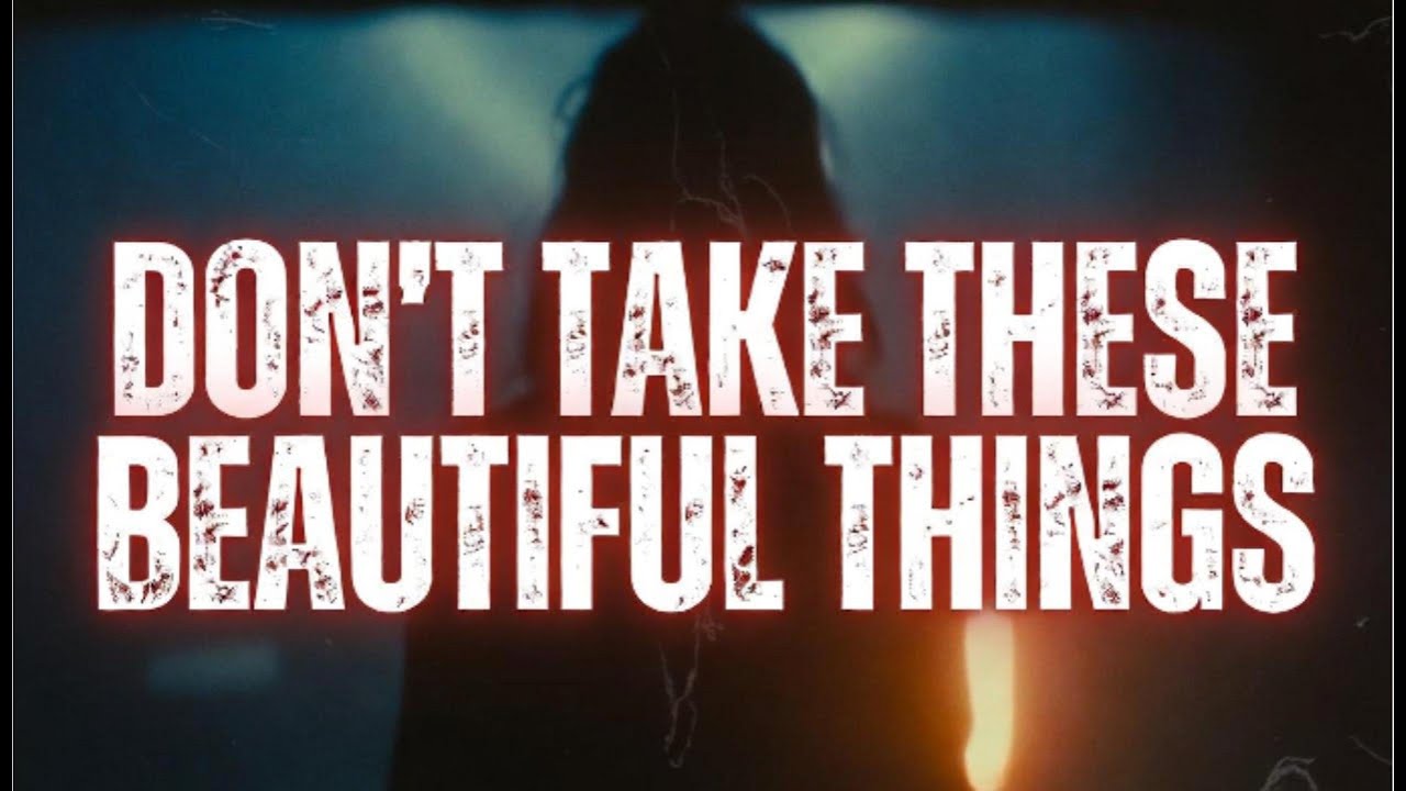 DON’T TAKE THESE BEAUTIFUL THINGS