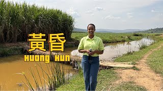 外国人翻唱《黄昏》，太有感觉了 Huang hun cover #cover #cctv #coversong #duet