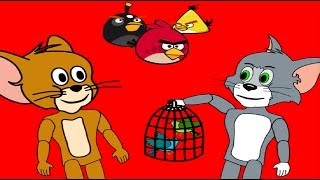 Tom And Jerry Full Episodes In English Cartoon Tom And Jerry - Catching Angry Birds