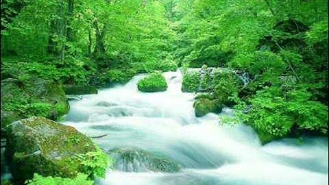 تلاوة تفوق الوصف أنس الغامدي - الفرقان الاية 63