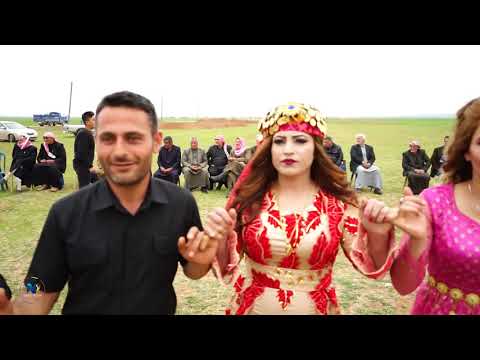 حفلات كوباني قرية خراب كورت العريس عـمر حميدة 